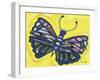 Wings Of A Butterfly-Sartoris ART-Framed Giclee Print