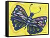 Wings Of A Butterfly-Sartoris ART-Framed Stretched Canvas