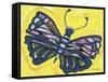 Wings Of A Butterfly-Sartoris ART-Framed Stretched Canvas