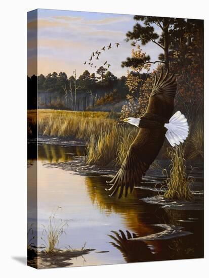 Wings of Autumn - Bald Eagle-Wilhelm Goebel-Stretched Canvas