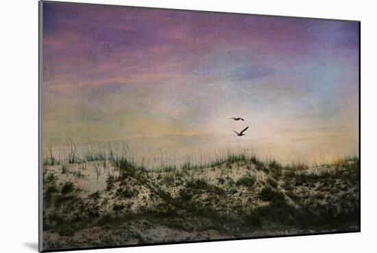 Wings of Dawn-Barbara Simmons-Mounted Giclee Print