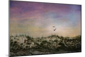 Wings of Dawn-Barbara Simmons-Mounted Giclee Print