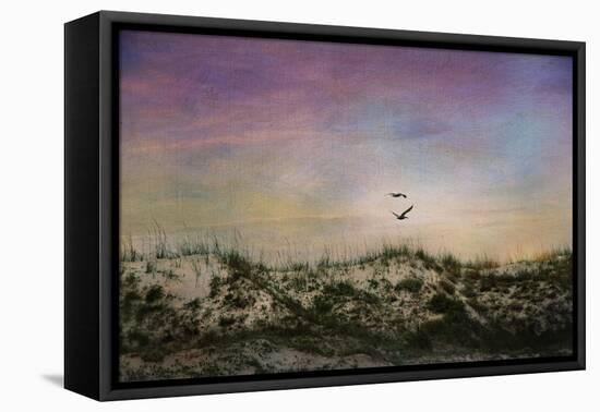 Wings of Dawn-Barbara Simmons-Framed Stretched Canvas