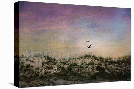 Wings of Dawn-Barbara Simmons-Stretched Canvas