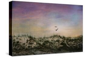 Wings of Dawn-Barbara Simmons-Stretched Canvas