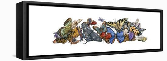 Wings of Splendor I-Wendy Russell-Framed Stretched Canvas