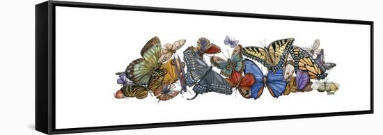 Wings of Splendor I-Wendy Russell-Framed Stretched Canvas