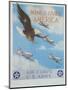 Wings over America-Tom Woodbury-Mounted Giclee Print