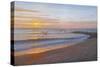 Wings over Captiva-Bruce Dumas-Stretched Canvas
