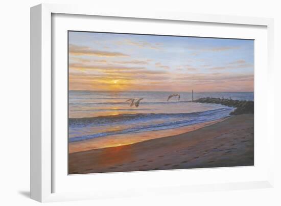 Wings over Captiva-Bruce Dumas-Framed Giclee Print