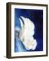 Wings over London, 2013,-Nancy Moniz Charalambous-Framed Giclee Print