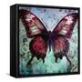 Wings to Bohemia VI-Sasha-Framed Stretched Canvas