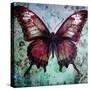 Wings to Bohemia VI-Sasha-Stretched Canvas