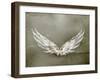 Wings White Old-Style Vector-Nataliia Natykach-Framed Art Print