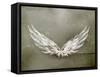 Wings White Old-Style Vector-Nataliia Natykach-Framed Stretched Canvas