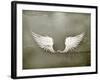 Wings White, Old-Style Vector-Nataliia Natykach-Framed Art Print