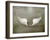 Wings White, Old-Style Vector-Nataliia Natykach-Framed Art Print