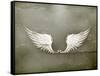 Wings White, Old-Style Vector-Nataliia Natykach-Framed Stretched Canvas