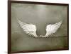 Wings White, Old-Style Vector-Nataliia Natykach-Framed Art Print