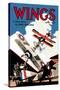 Wings-Rudolph Belarski-Stretched Canvas