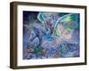 Wings-Josephine Wall-Framed Giclee Print