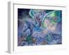 Wings-Josephine Wall-Framed Giclee Print