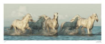 Camargue Horses - Race-Wink Gaines-Limited Edition