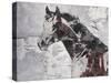 Winner Horse IV-Irena Orlov-Stretched Canvas