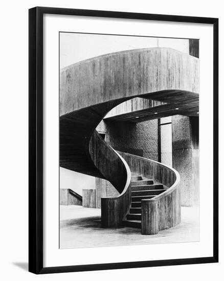 Winner of Sculpture Award-null-Framed Photographic Print