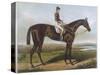 Winner of the Derby and St. Leger in 1881-null-Stretched Canvas