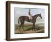 Winner of the Derby and St. Leger in 1881-null-Framed Photographic Print