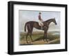 Winner of the Derby and St. Leger in 1881-null-Framed Photographic Print