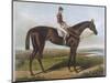 Winner of the Derby and St. Leger in 1881-null-Mounted Photographic Print