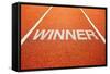 Winner Track-igor stevanovic-Framed Stretched Canvas