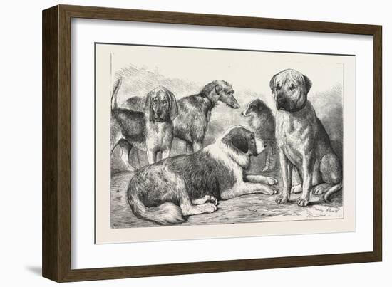 Winners at the Dog Show of the Kennel Club-null-Framed Giclee Print