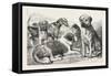Winners at the Dog Show of the Kennel Club-null-Framed Stretched Canvas