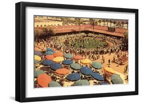 Winners Circle, Del Mar Race Track, California-null-Framed Art Print