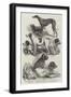 Winners of Prizes at the International Dog Show, Agricultural Hall, Islington-Harrison William Weir-Framed Giclee Print