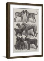 Winners of Prizes at the International Dog Show, Paris-Harrison William Weir-Framed Giclee Print