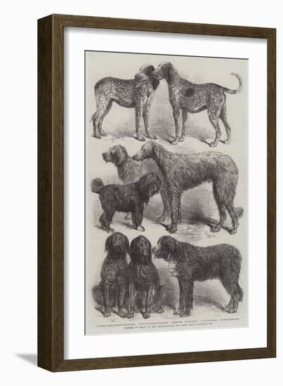 Winners of Prizes at the International Dog Show, Paris-Harrison William Weir-Framed Giclee Print