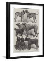 Winners of Prizes at the International Dog Show, Paris-Harrison William Weir-Framed Giclee Print