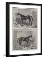 Winners of the Derby and Oaks-Harry Hall-Framed Giclee Print