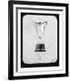 Winners Trophy IV-Chris Dunker-Framed Collectable Print