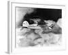 Winnie Mae of Oklahoma Mail Plane-Ed Sweeney-Framed Photographic Print