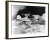 Winnie Mae of Oklahoma Mail Plane-Ed Sweeney-Framed Photographic Print