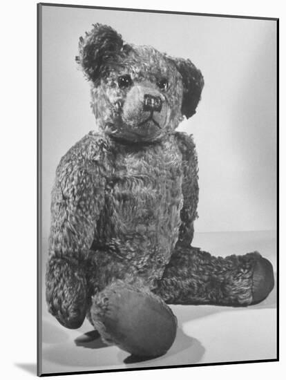 Winnie the Pooh Awaiting His Fans in a Bookstore-null-Mounted Photographic Print