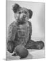 Winnie the Pooh Awaiting His Fans in a Bookstore-null-Mounted Photographic Print