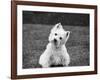 Winnie-Kim Levin-Framed Photographic Print