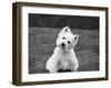 Winnie-Kim Levin-Framed Photographic Print