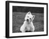 Winnie-Kim Levin-Framed Photographic Print